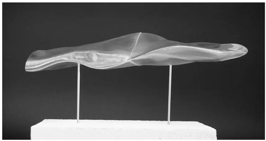 Modellausschnitt / Freiform